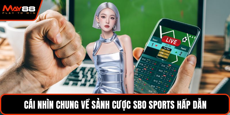 Cái nhìn chung về sảnh cược SBO Sports hấp dẫn