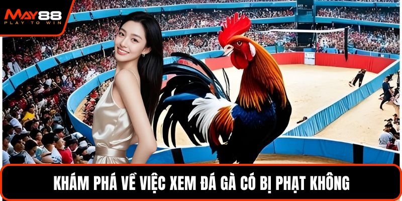 Khám phá về việc xem đá gà có bị phạt không