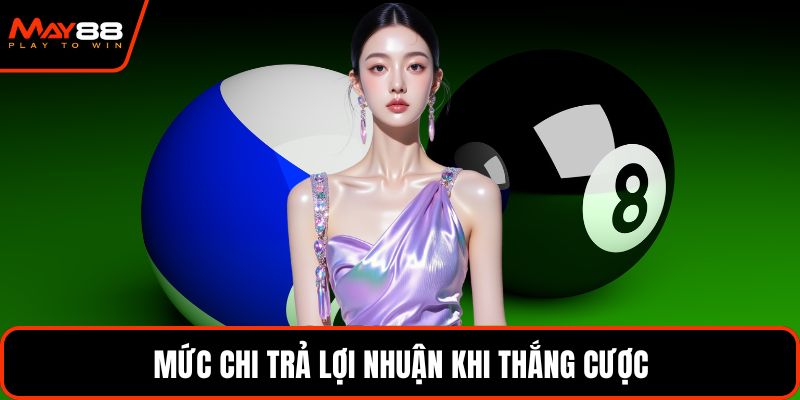 Mức chi trả lợi nhuận khi thắng cược