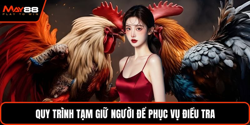 Quy trình tạm giữ người để phục vụ điều tra