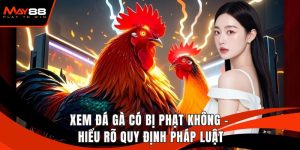 Xem Đá Gà Có Bị Phạt Không - Hiểu Rõ Quy Định Pháp Luật
