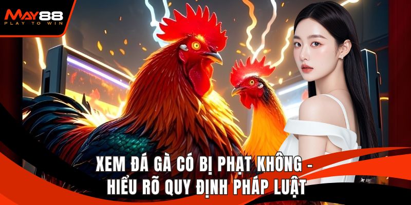 Xem Đá Gà Có Bị Phạt Không - Hiểu Rõ Quy Định Pháp Luật